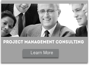 Project Management Consulting