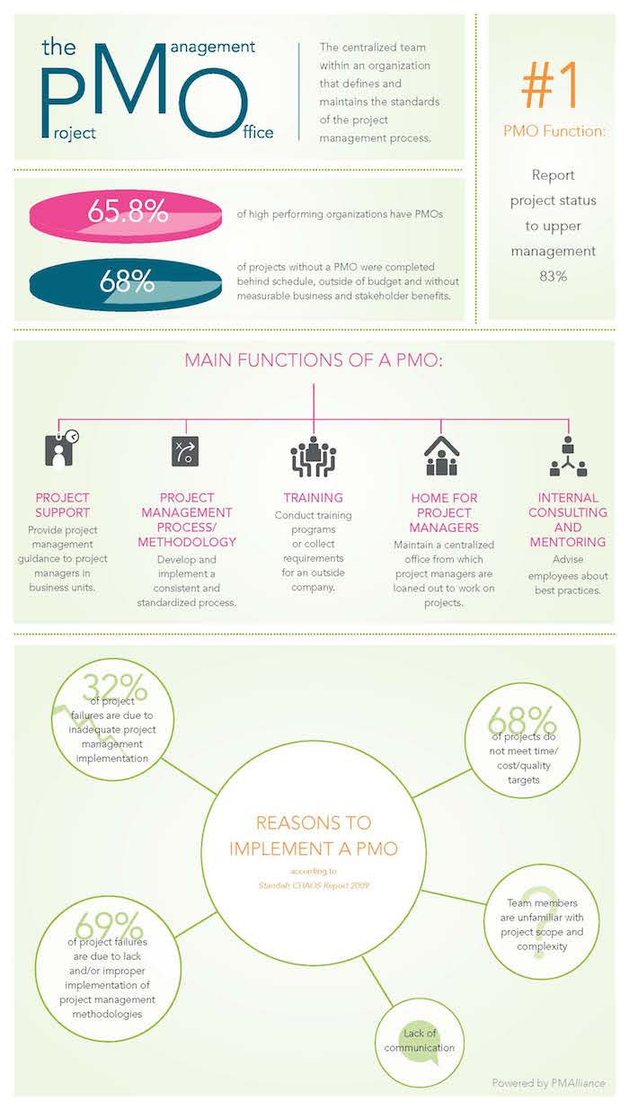 PMO_infographic The Project Team