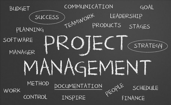 Project management leadership