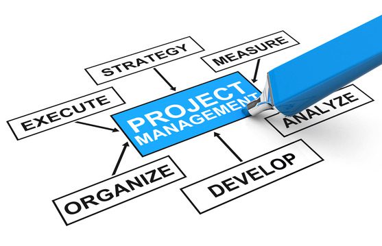project-management-graph